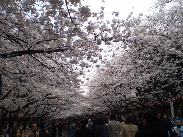 d0020443_23353581.jpg