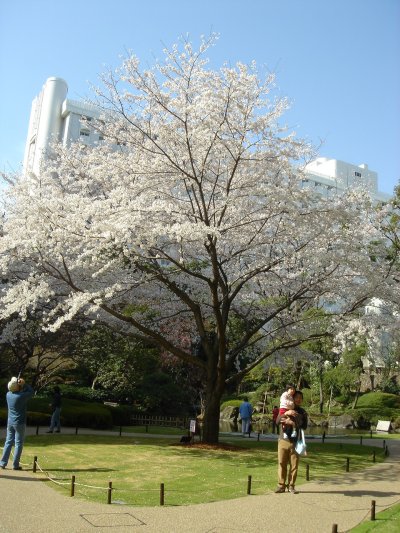 c0072847_16403438.jpg