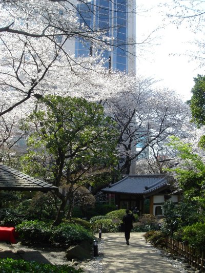c0072847_17382894.jpg
