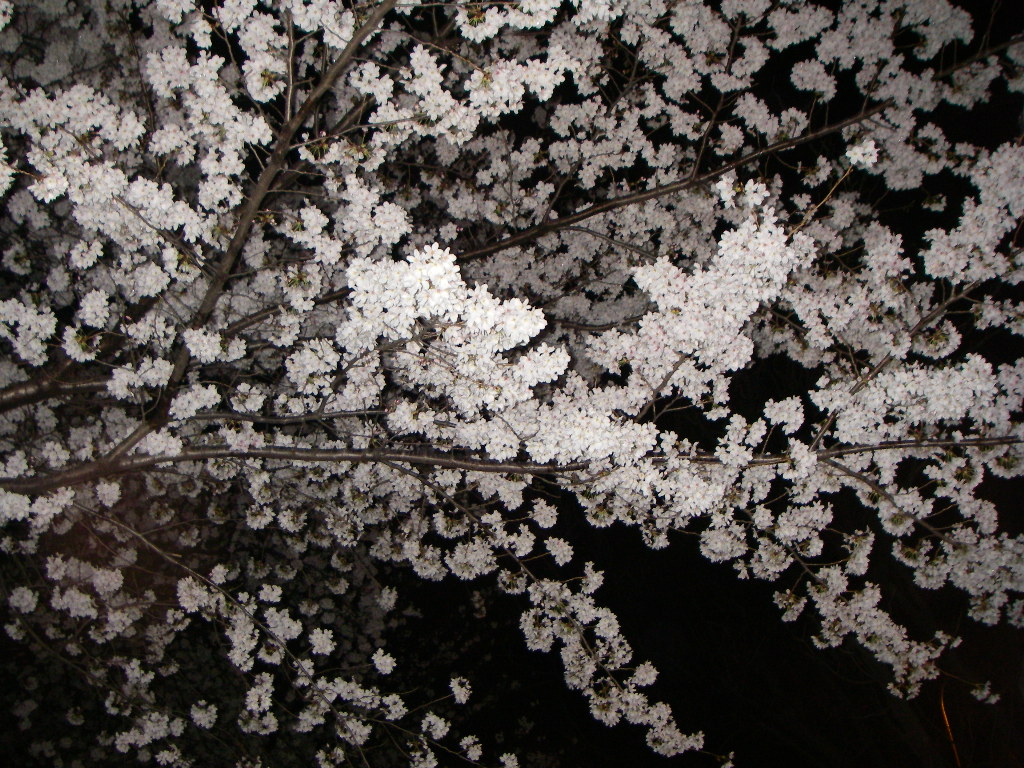 f0015348_2111967.jpg