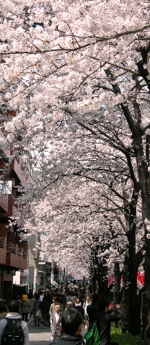 a0003150_221958.jpg