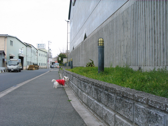 d0134156_1175219.jpg
