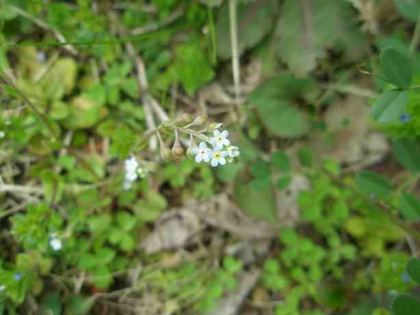 d0008157_0244215.jpg
