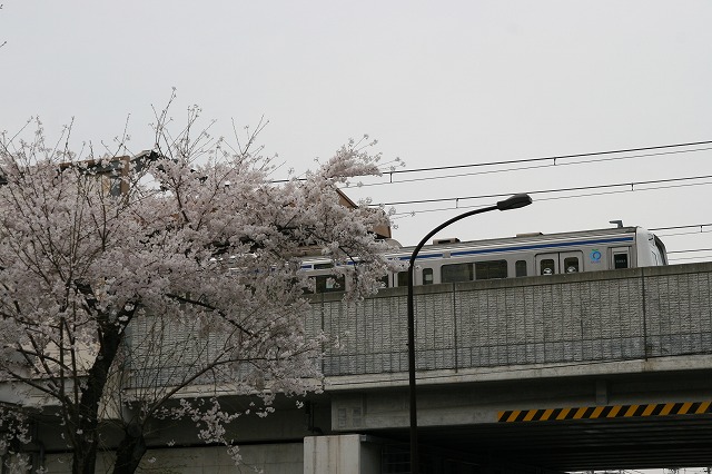 b0002858_21272668.jpg