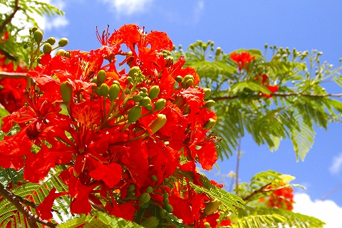 a0098859_0571149.jpg