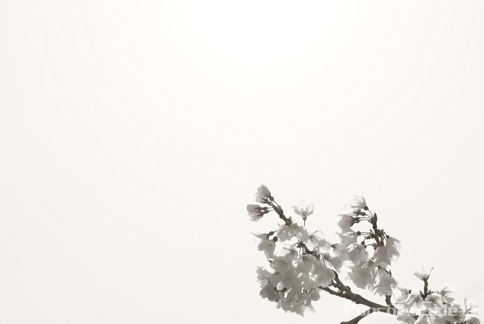c0123759_2012836.jpg