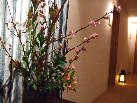 c0107861_12401668.jpg