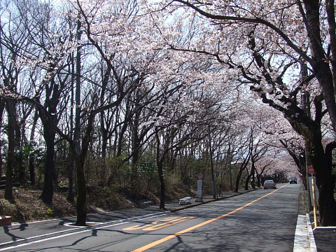 c0107861_21545129.jpg