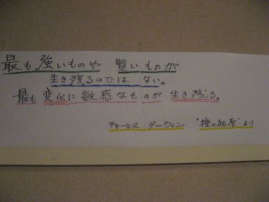 f0059665_85928100.jpg