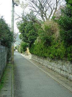 f0036269_1025022.jpg