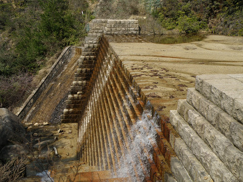 c0002874_21412725.jpg