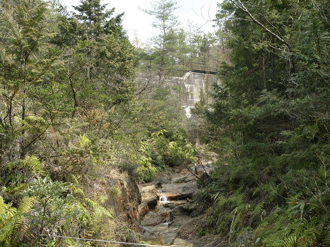 c0002874_2144197.jpg