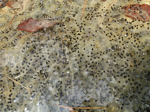 c0002874_21484425.jpg