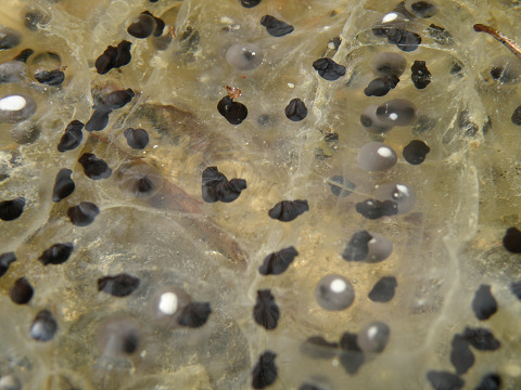 c0002874_21505662.jpg