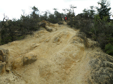 c0002874_2155710.jpg