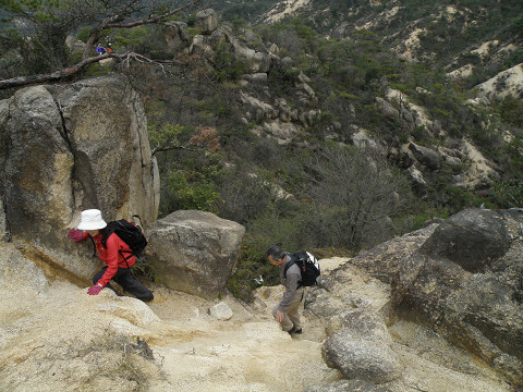 c0002874_220105.jpg
