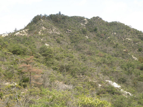 c0002874_22104778.jpg