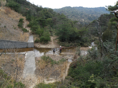 c0002874_2213695.jpg