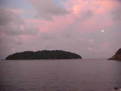 a0002177_1536797.jpg
