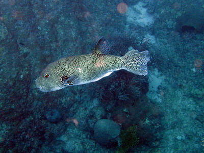 a0002177_15402543.jpg