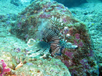 a0002177_1540595.jpg
