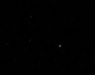 b0042882_1011813.jpg