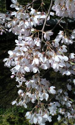 f0149982_0591874.jpg