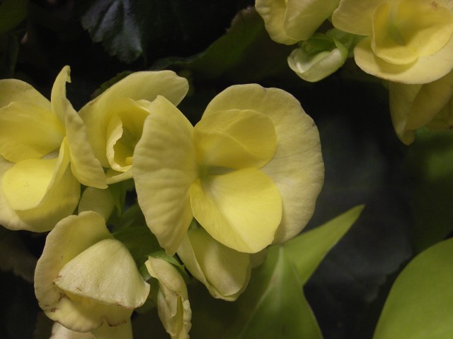 e0130986_10242829.jpg