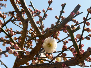 b0014587_2135492.jpg