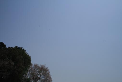 e0100589_131391.jpg