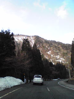 a0077891_1148428.jpg