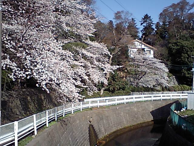 f0059291_23542434.jpg