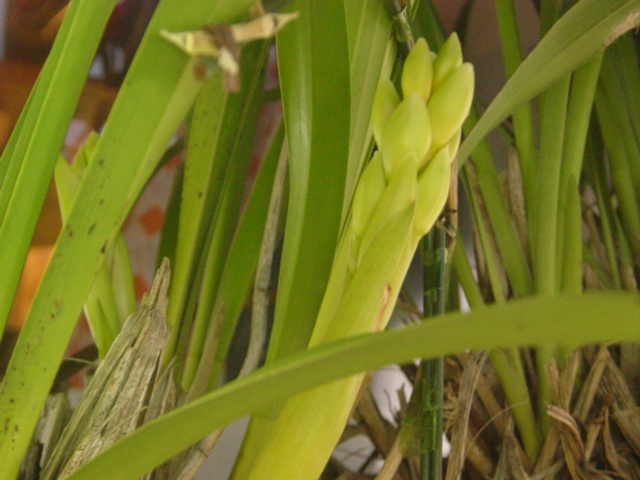f0148098_21284613.jpg