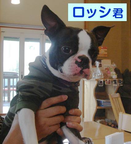 c0094999_025312.jpg