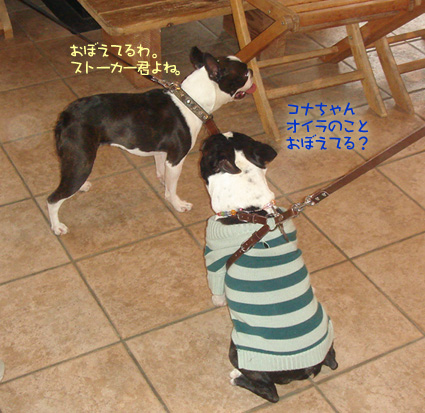 c0094999_0265649.jpg