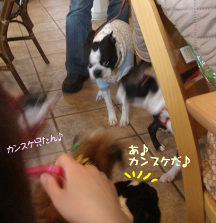 c0094999_0283322.jpg