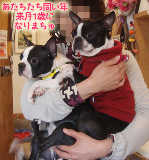 c0094999_0334889.jpg