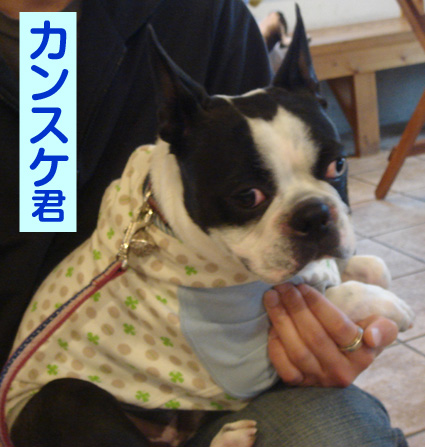 c0094999_034051.jpg