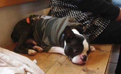 c0094999_0455675.jpg