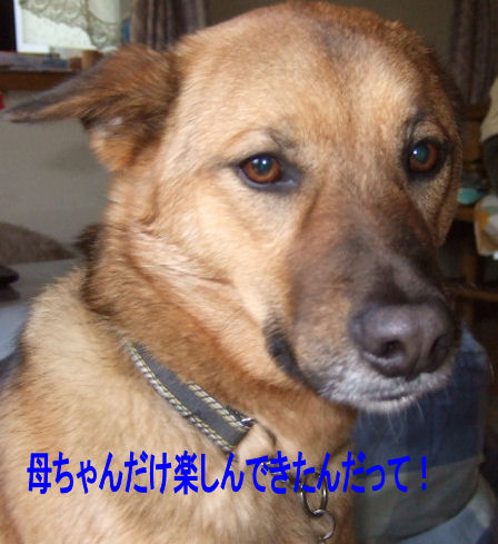 b0087400_0364941.jpg