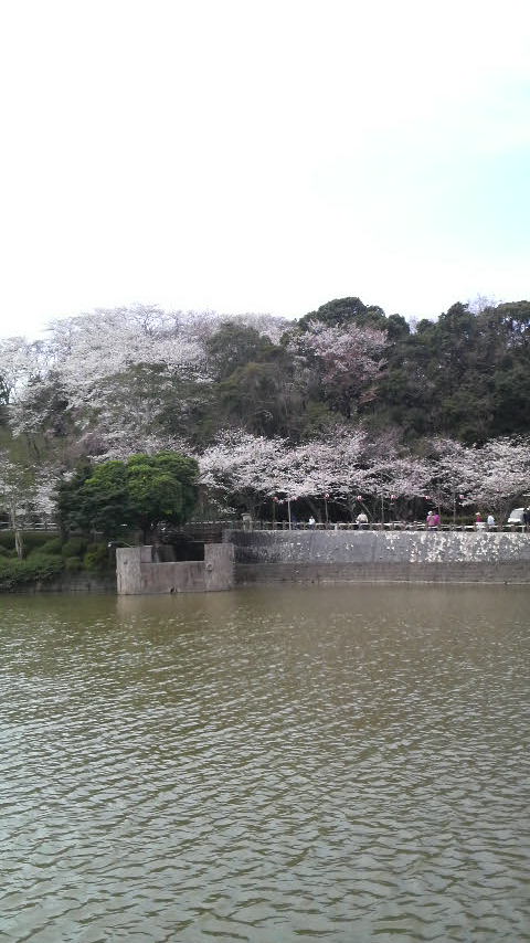 c0114000_20291158.jpg