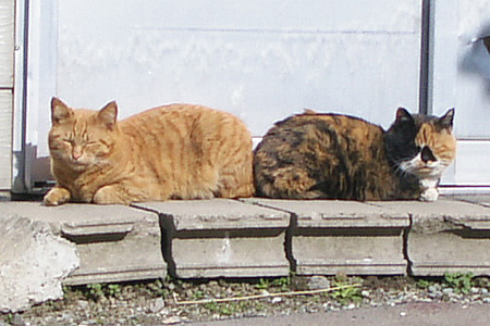 f0093600_15274286.jpg