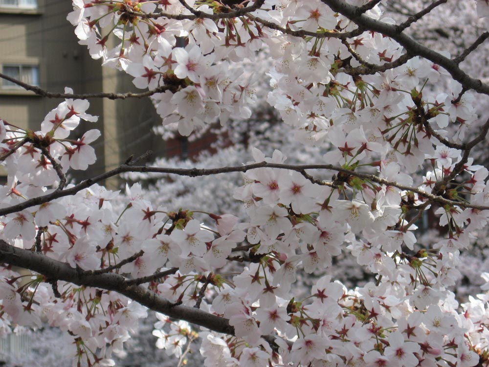 e0122501_2012247.jpg
