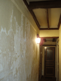 c0129702_4344063.gif