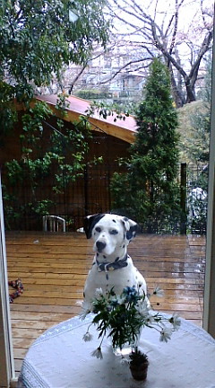 c0152002_22581852.jpg