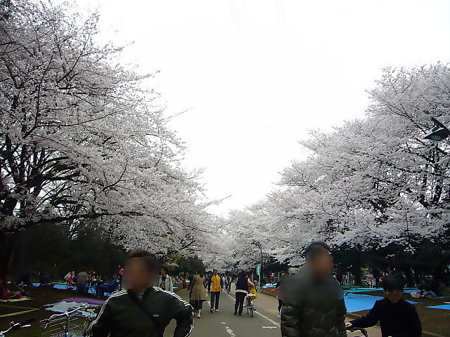 b0114403_21572145.jpg