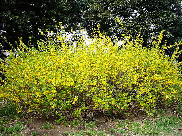 b0114403_2158210.jpg