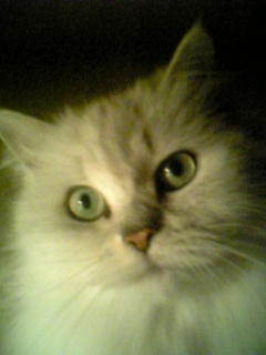 c0133303_018542.jpg