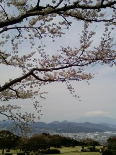 c0156703_941564.jpg