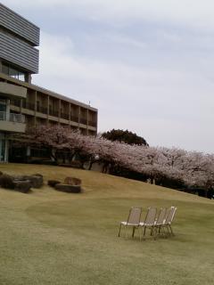 c0156703_9424378.jpg